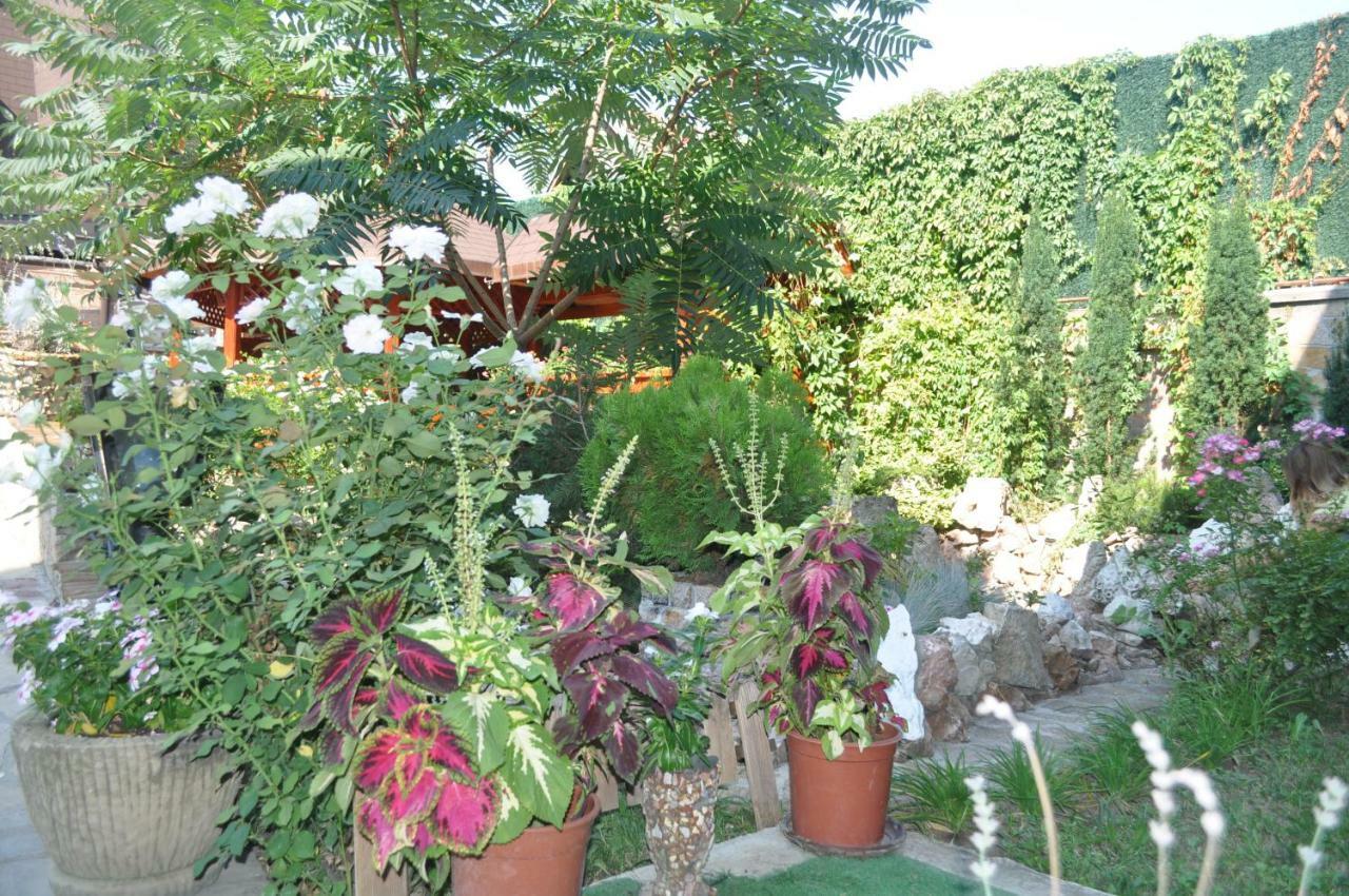 Каштел Pancevo Hotel Екстериор снимка